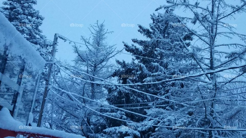 baby it's cold outside