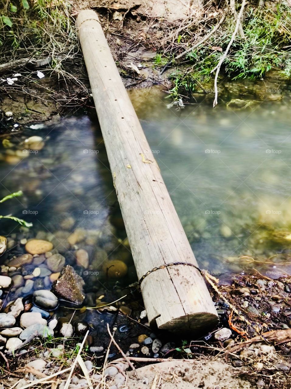 Log bridge with long exposure 