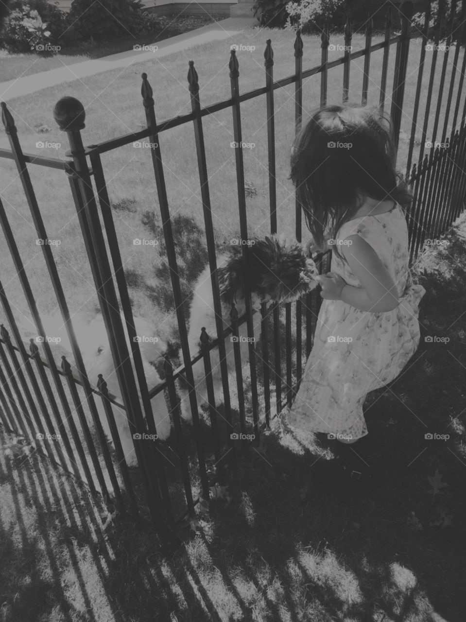 People, One, Monochrome, Adult, Fence