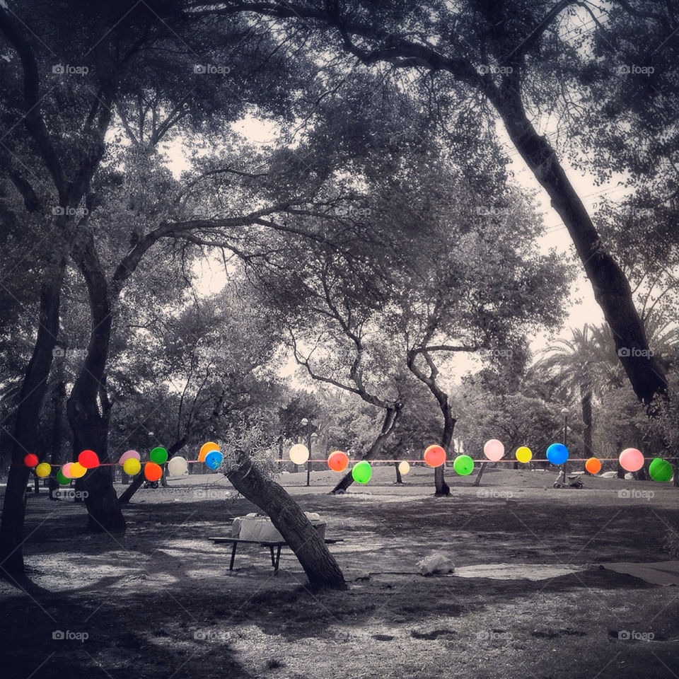 I SEE YOUR TRUE COLORS