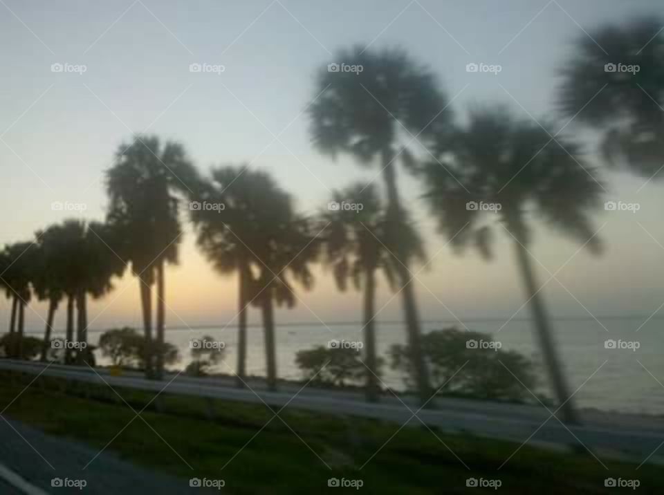 FL Sunset