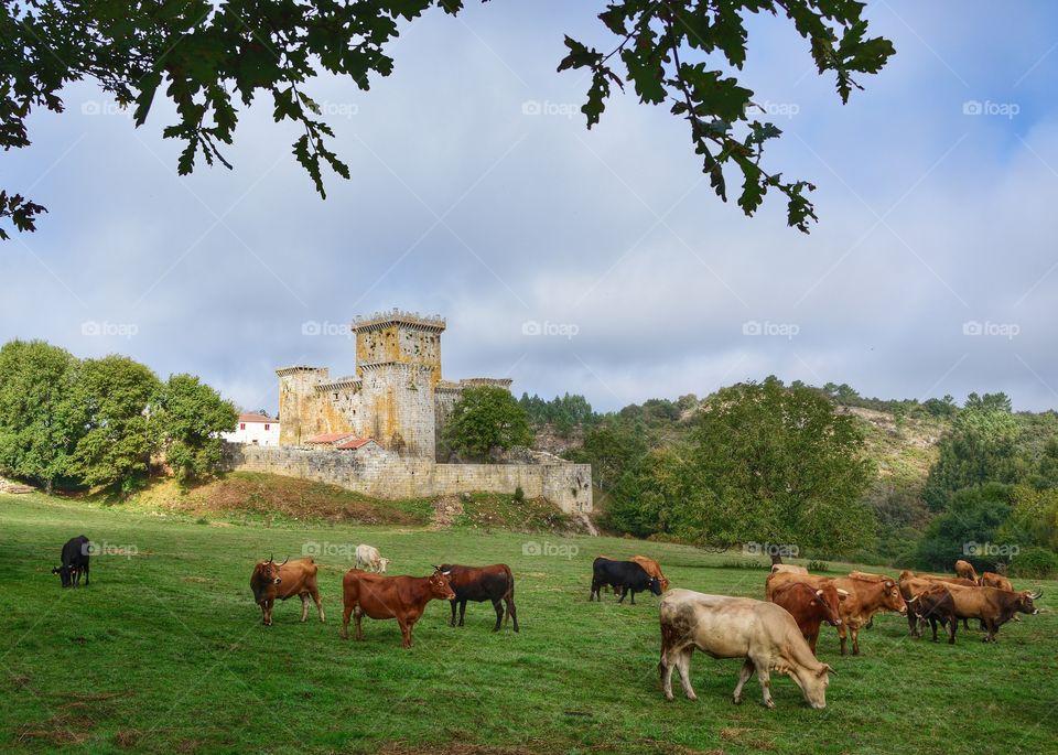 View of Pambre Castle, Galicia, Spain.