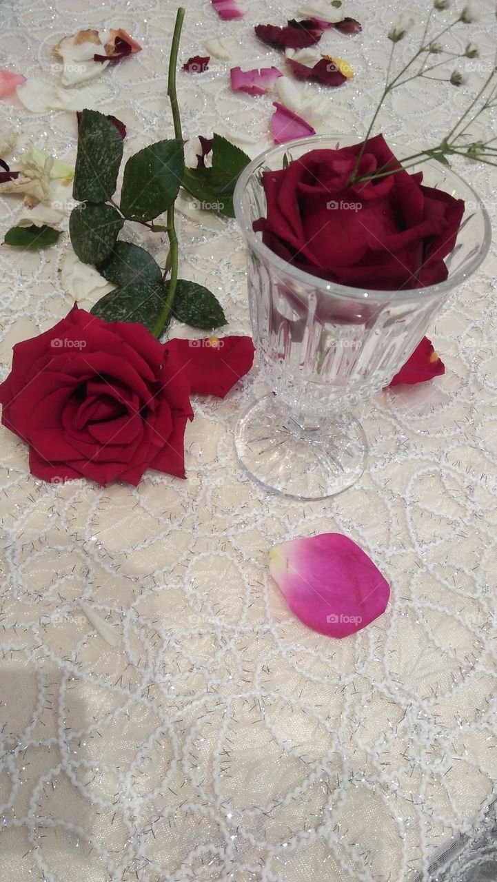 rose on table.