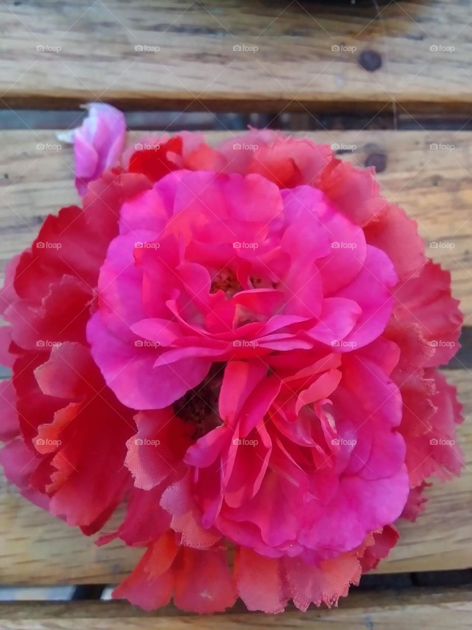 A gorgeous pink pick sitting on a wooden table 