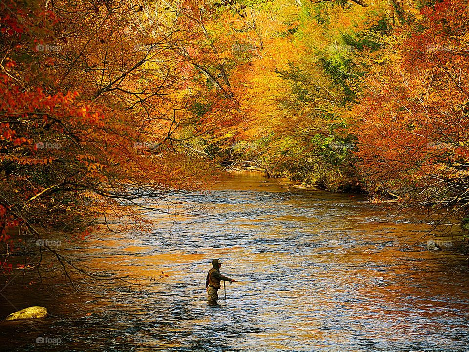 Fisherman enclosed by natures beauty