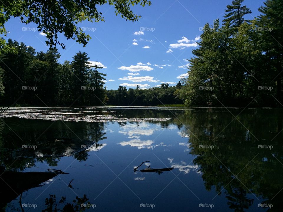 Cloud reflecting on lake