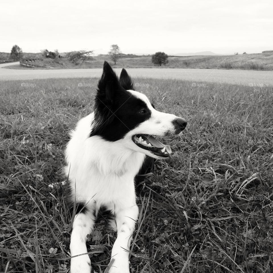 looking into the distance. Gray scale is great!