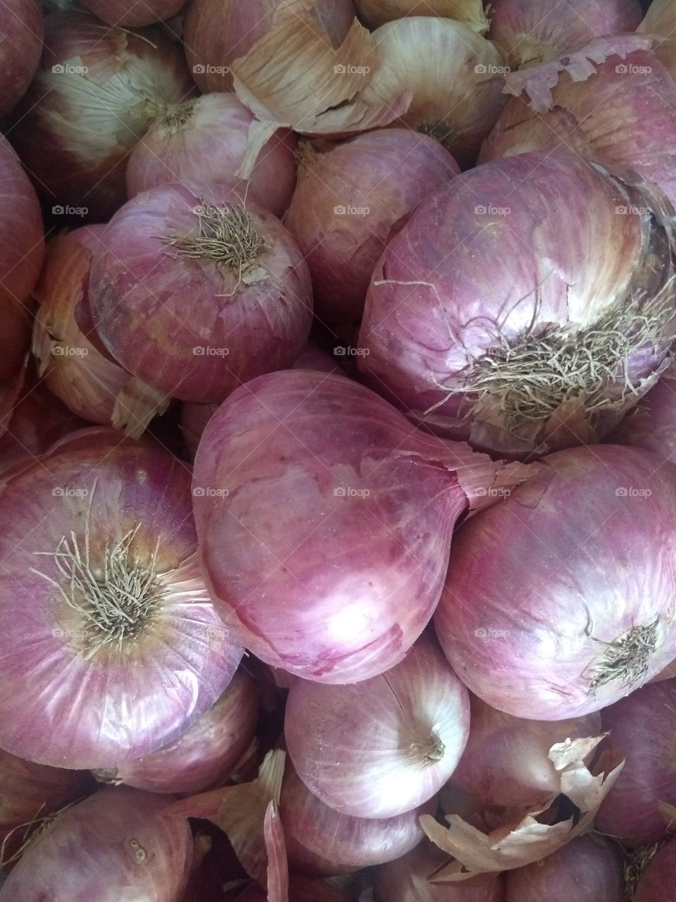 onion bunch