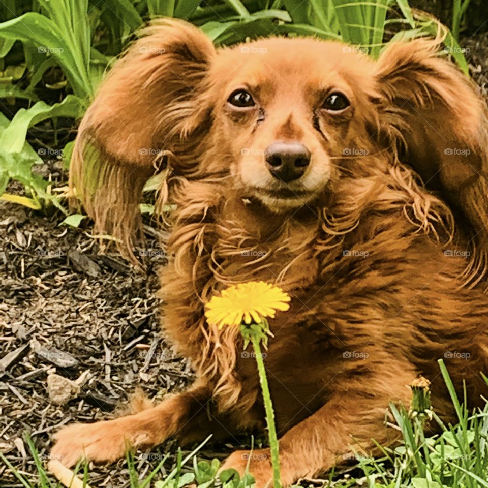 What’s up with you guys? 