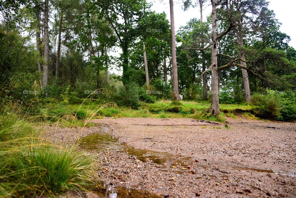 Scenic view of beach