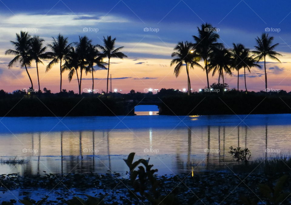 Palm Trees Sunset Reflection