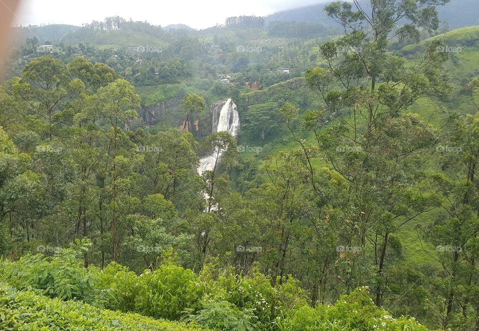 A view of a waterfall surrounded with trees.