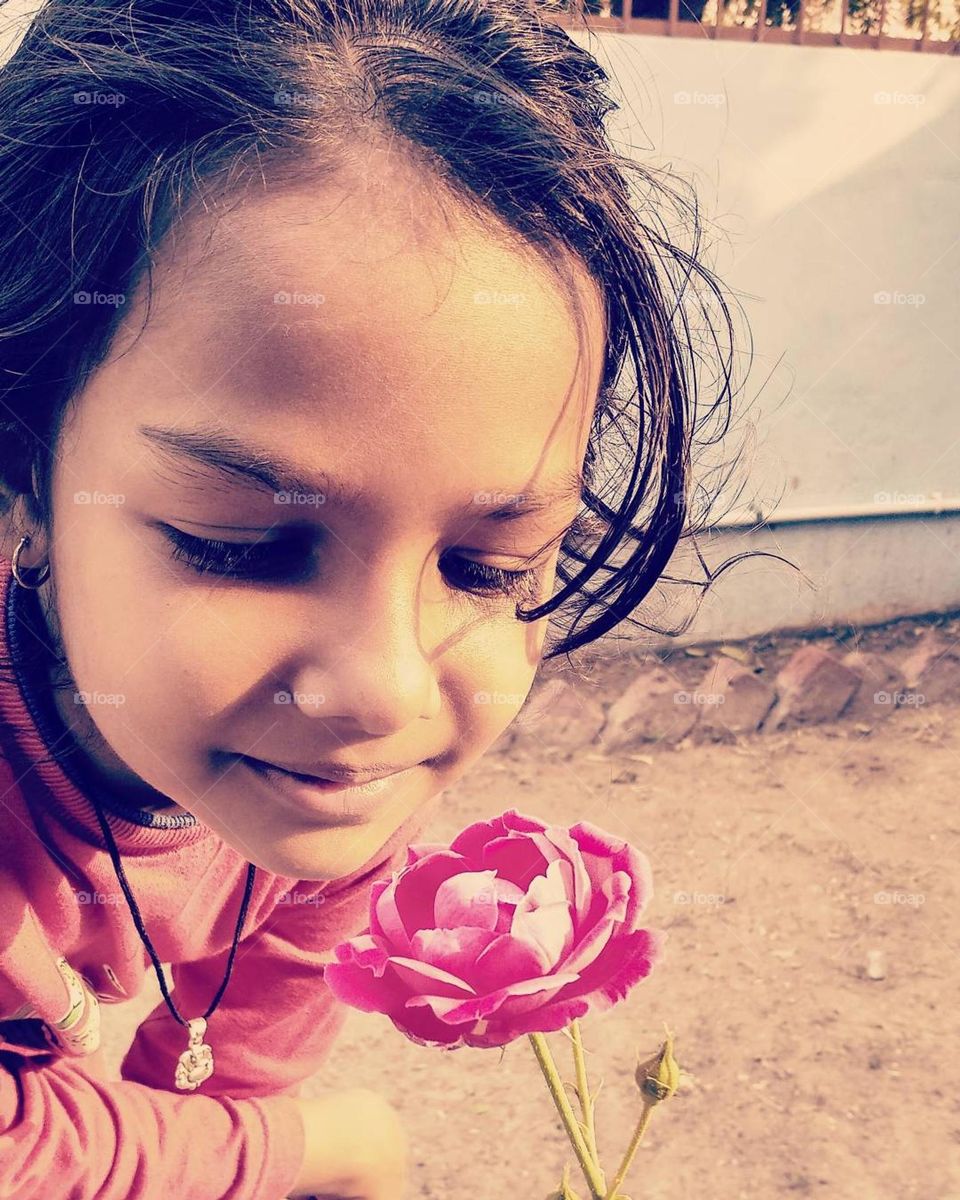 mobile series: plants