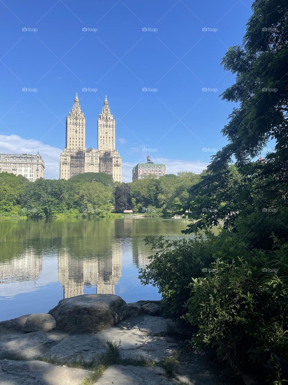 Central Park New York City in the Summer
