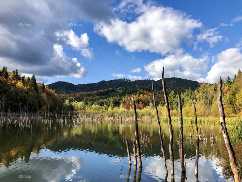 Landscape in autumn