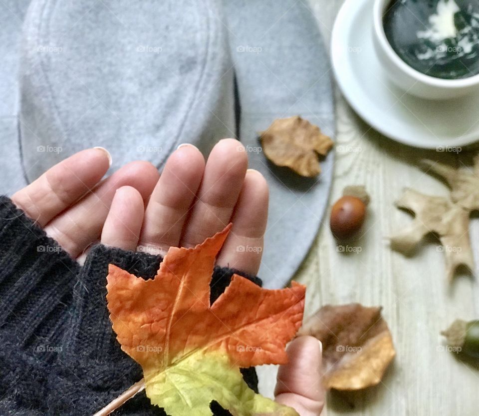 Fall is in the air 🍁