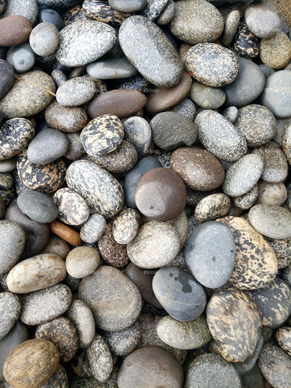 Cobblestone, Texture, Smooth, Stone, Rock