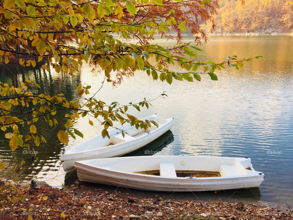 Boats on the lake