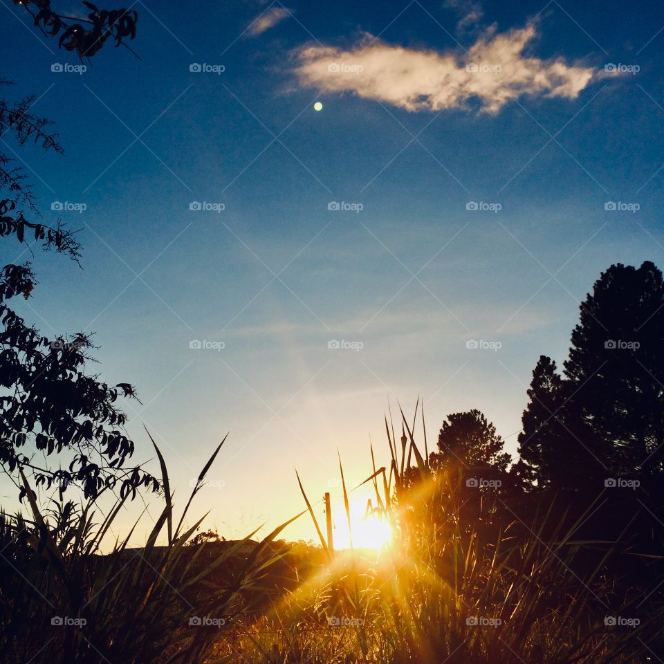 ☀️#Sol muito bonito de #natureza e #beleza indescritíveis.
Obrigado, #MãeTerra. 
🌱
#inspiração #amanhecer #morning #fotografia #paisagem #sun #céu #landscapes