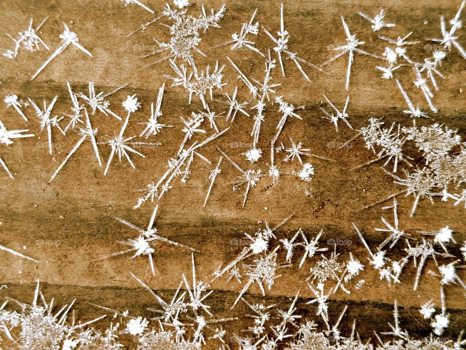 Snow Flakes Close-up Background