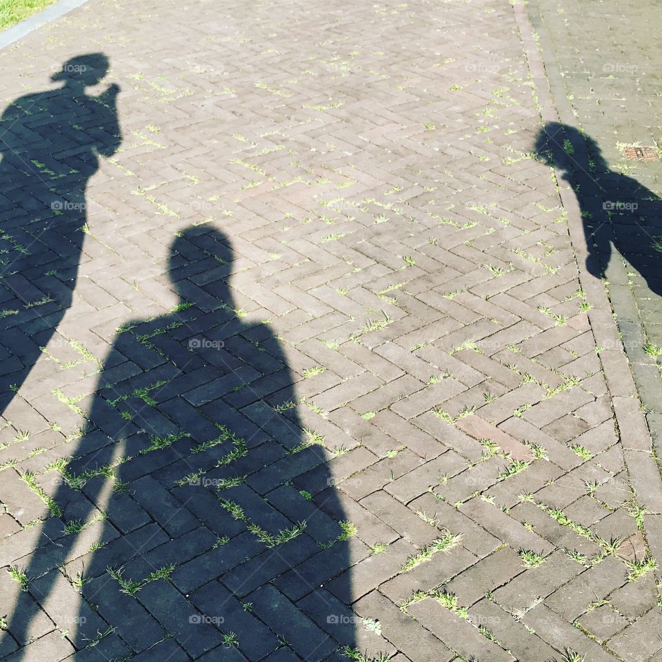 Family fall Shadows