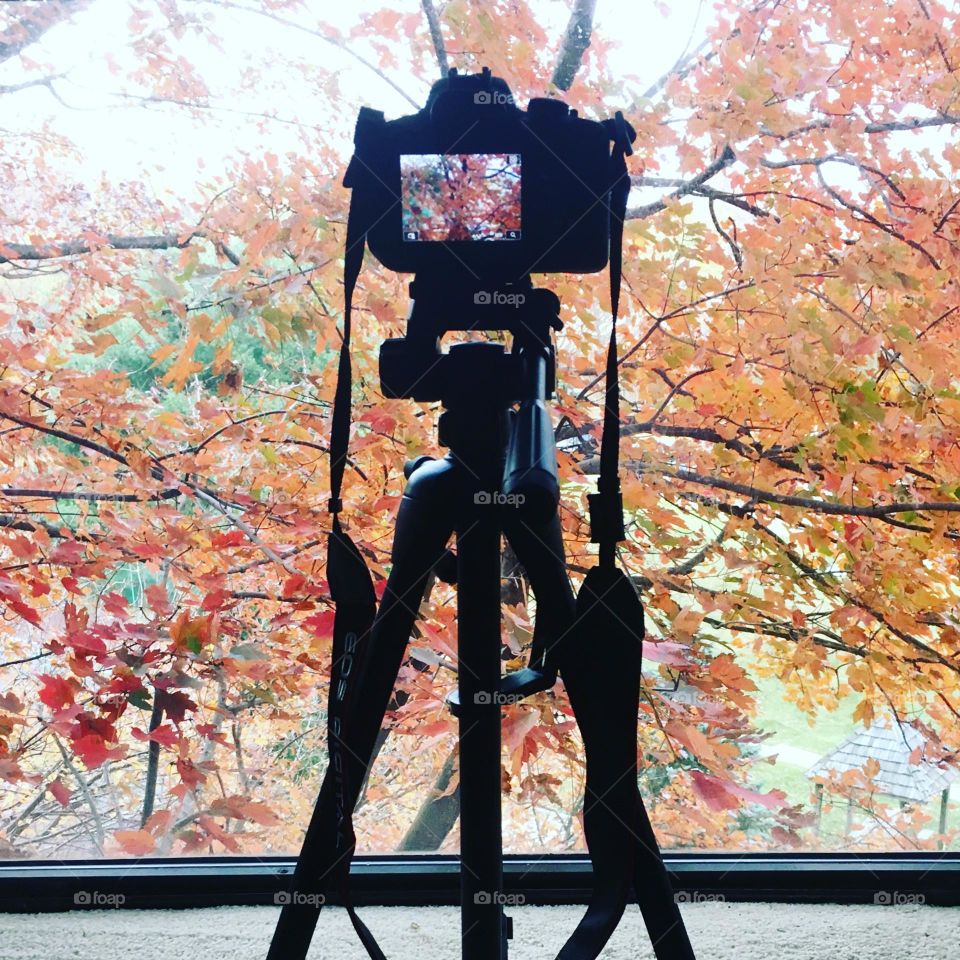 setup for autum photos 