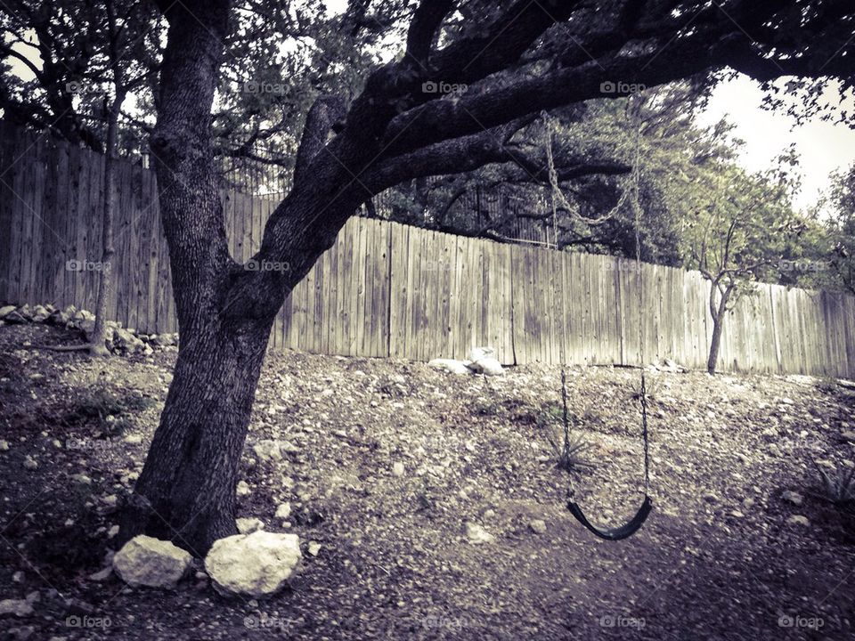 Empty swing