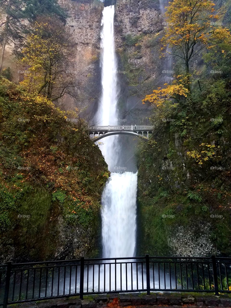 Bridge over Waterfall