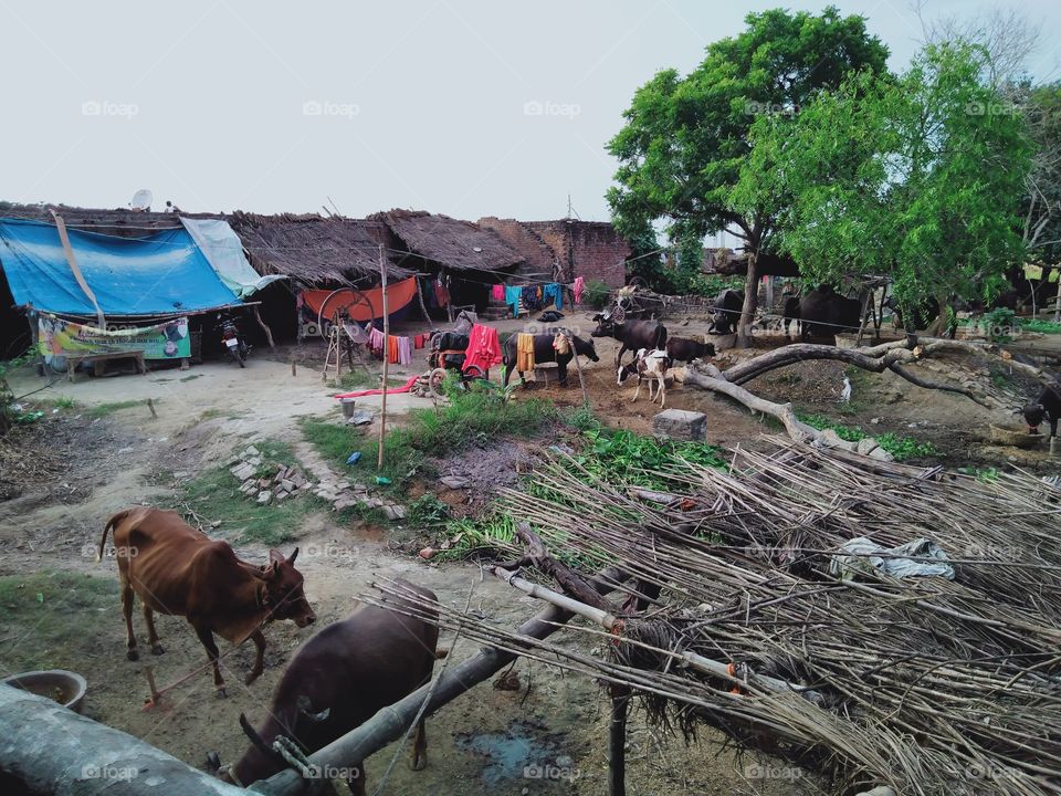 Indian village living