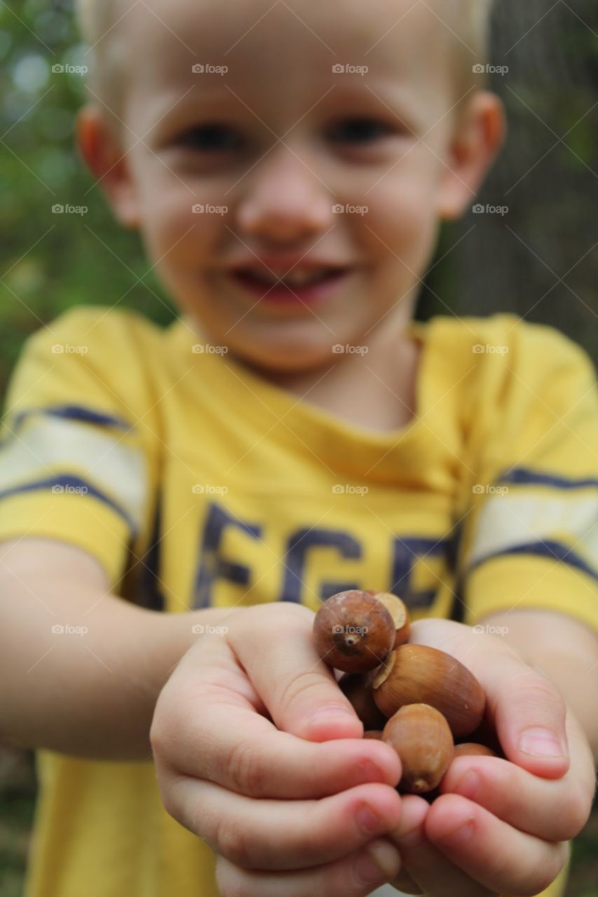 Collecting acorns in the crisp fall air