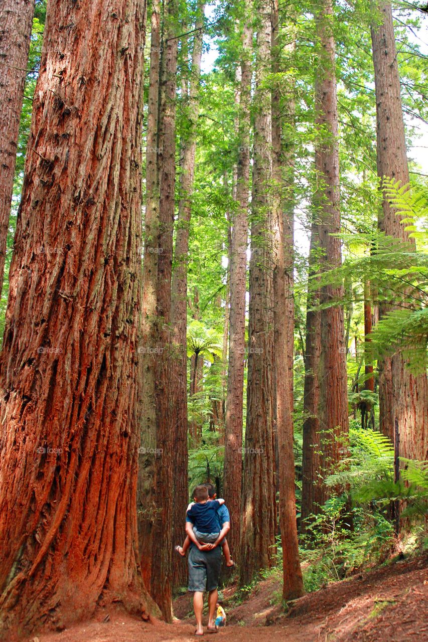 Hiking trail 