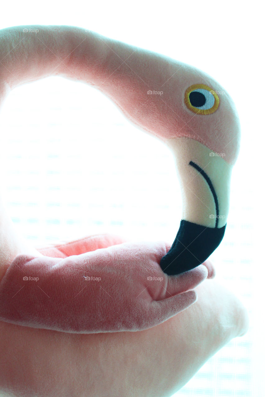 Pink plush toy--flamingo