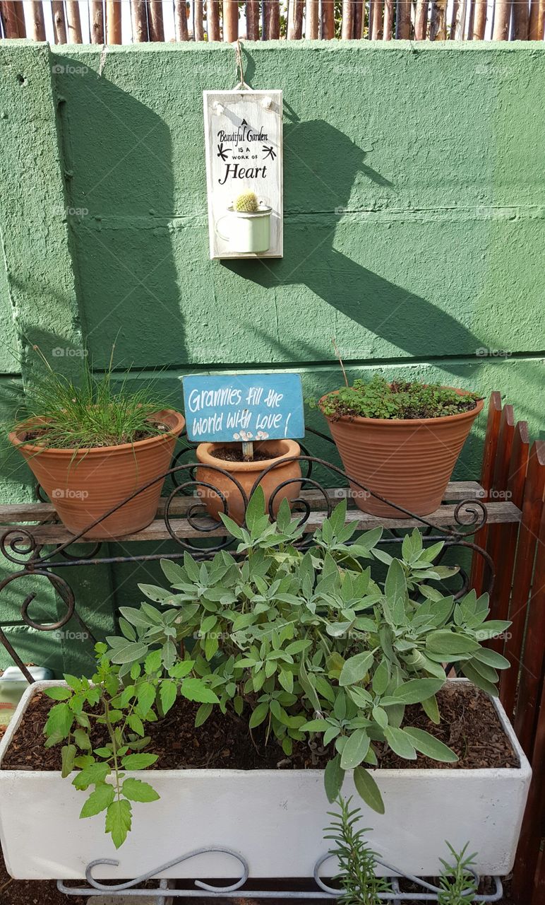 Grannies Fill the World with Love