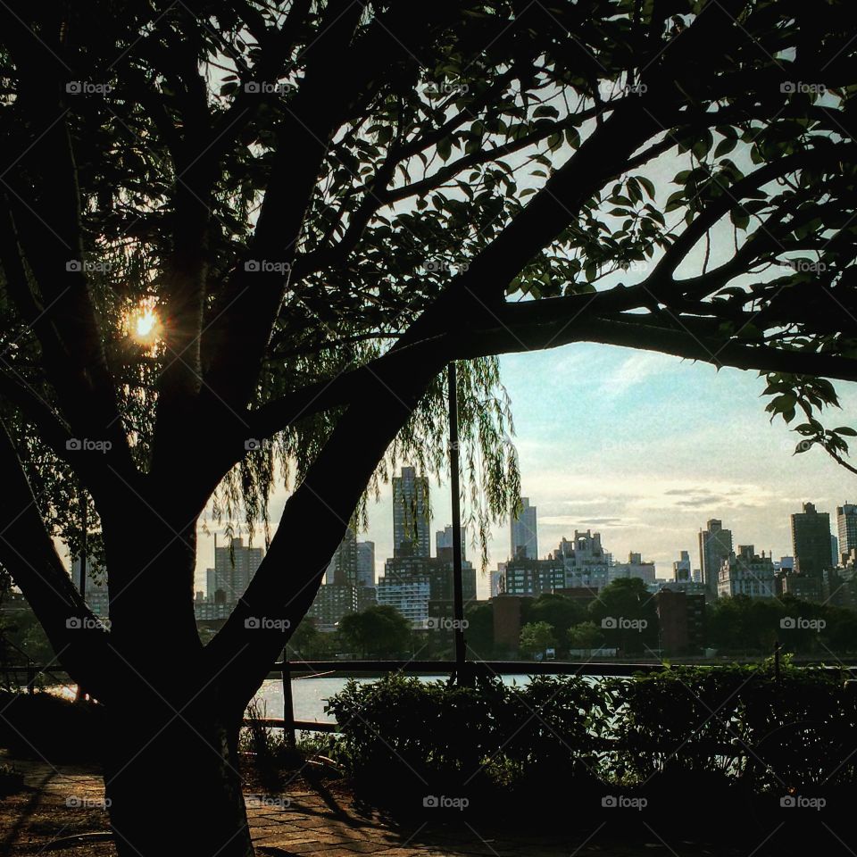 Golden NYC. The perfect time of day.