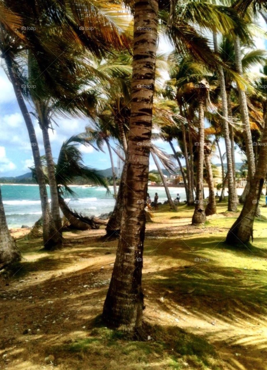Caribbean beach front view . Honeymoon photography 