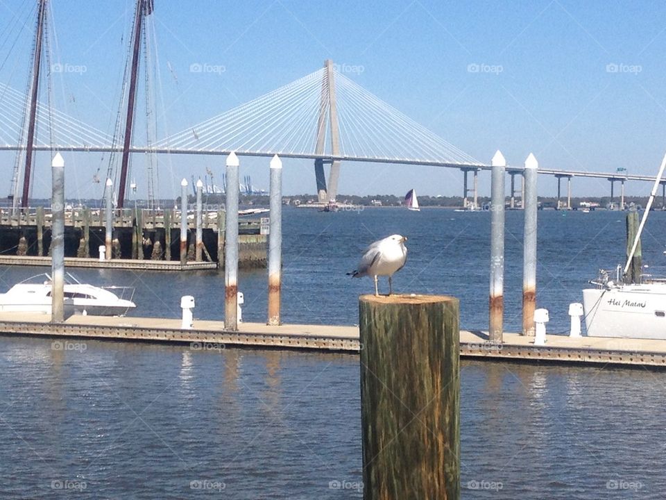 Charleston SC Harbor