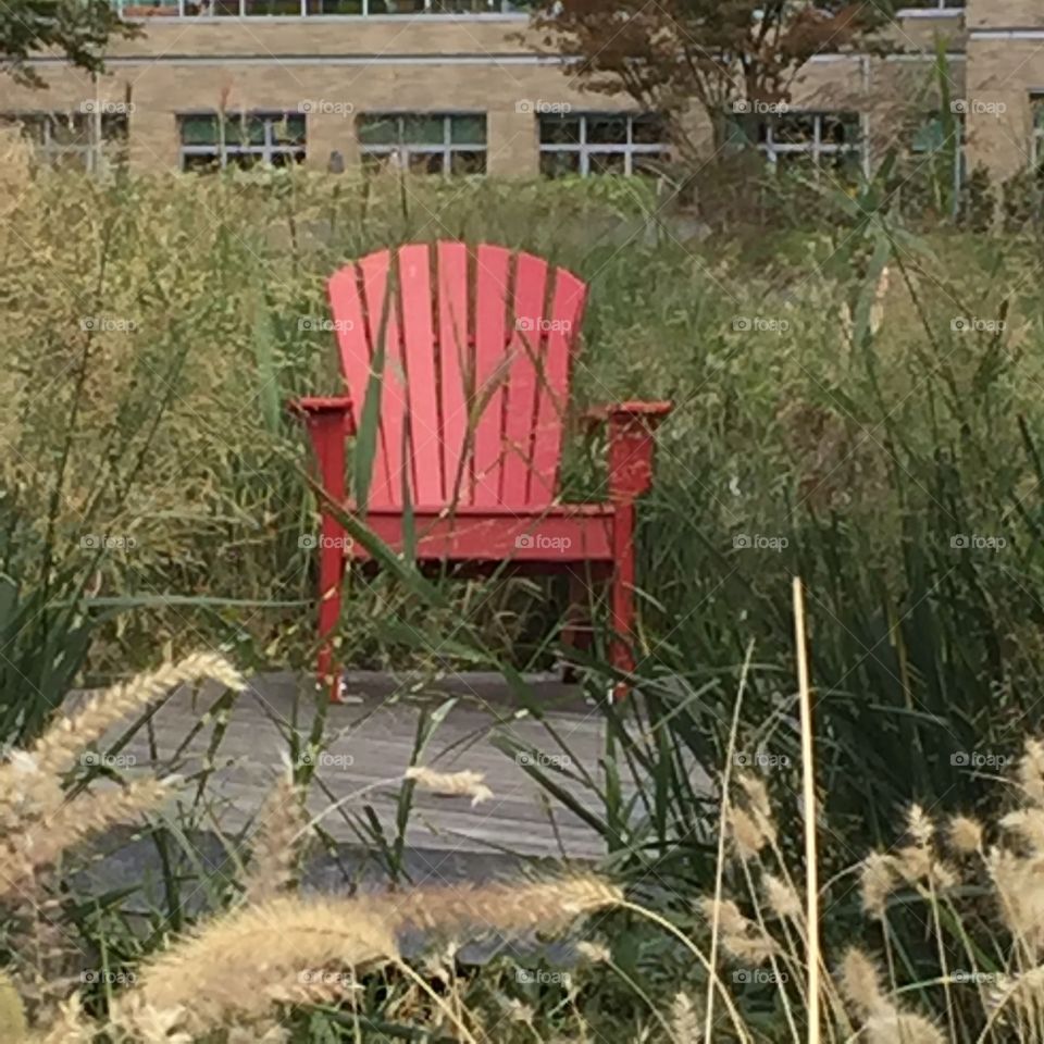 Red chair 