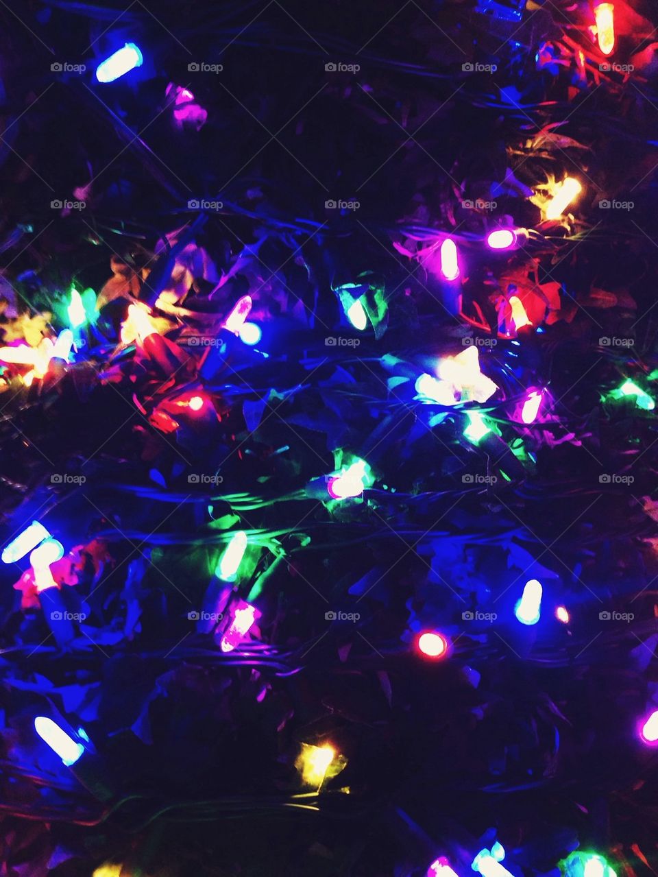 Christmas Lights