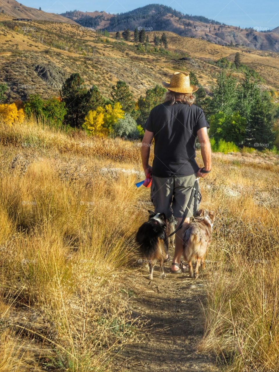 Man and dogs hiking in Idaho in Autumn.