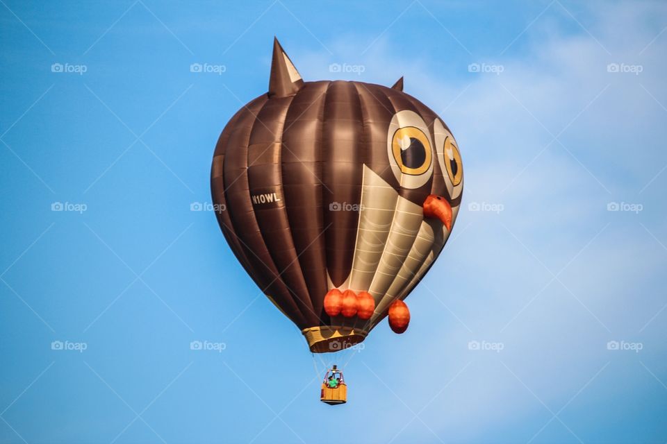 Owl Hot Air Balloon