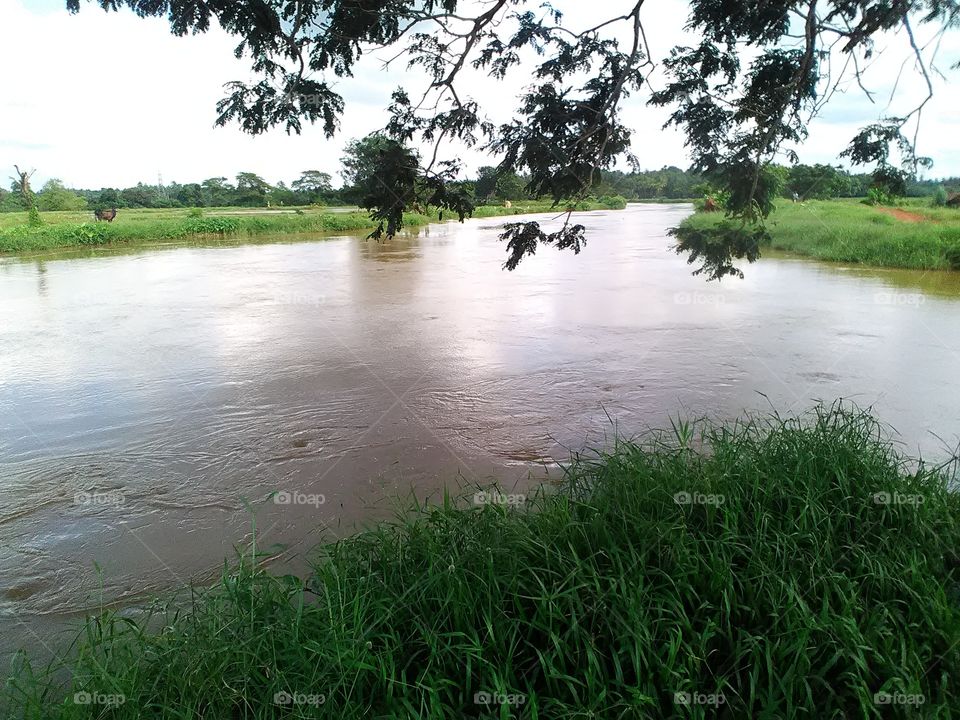 bright sunshine pouring on to the Eye soothing paddy fields  surrounded by the forests and the lake.. What a wonderful day to rejoice and enjoy