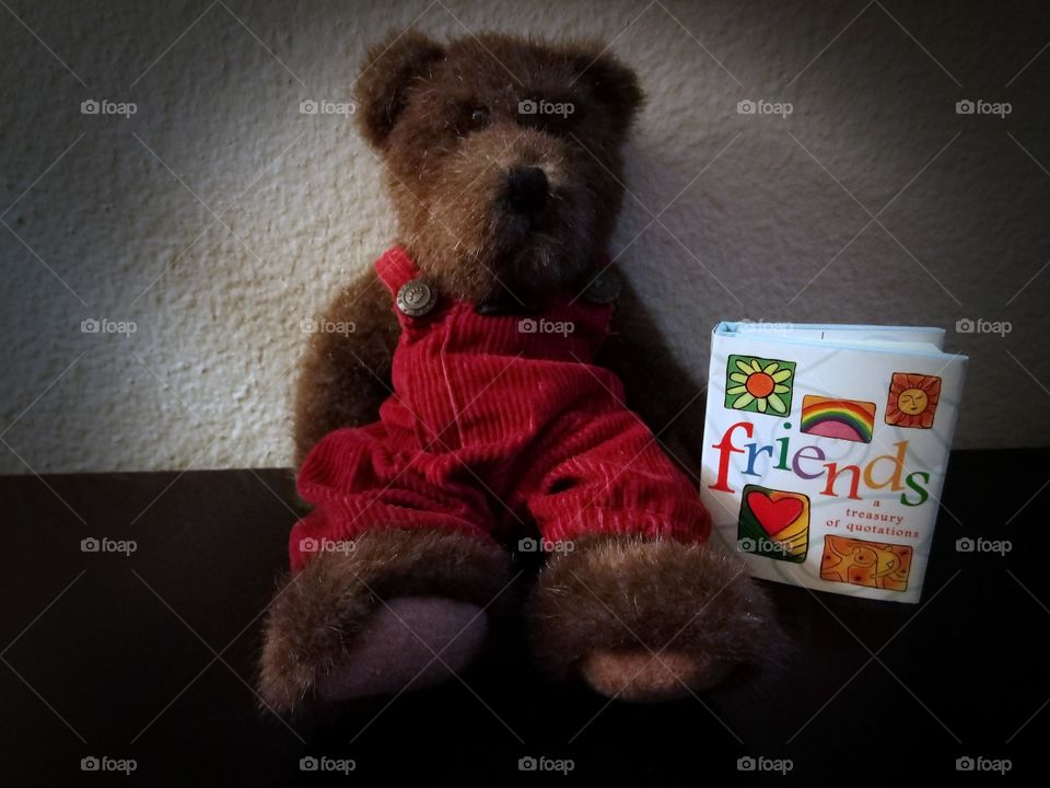Stuffed teddy bear sitting with Book