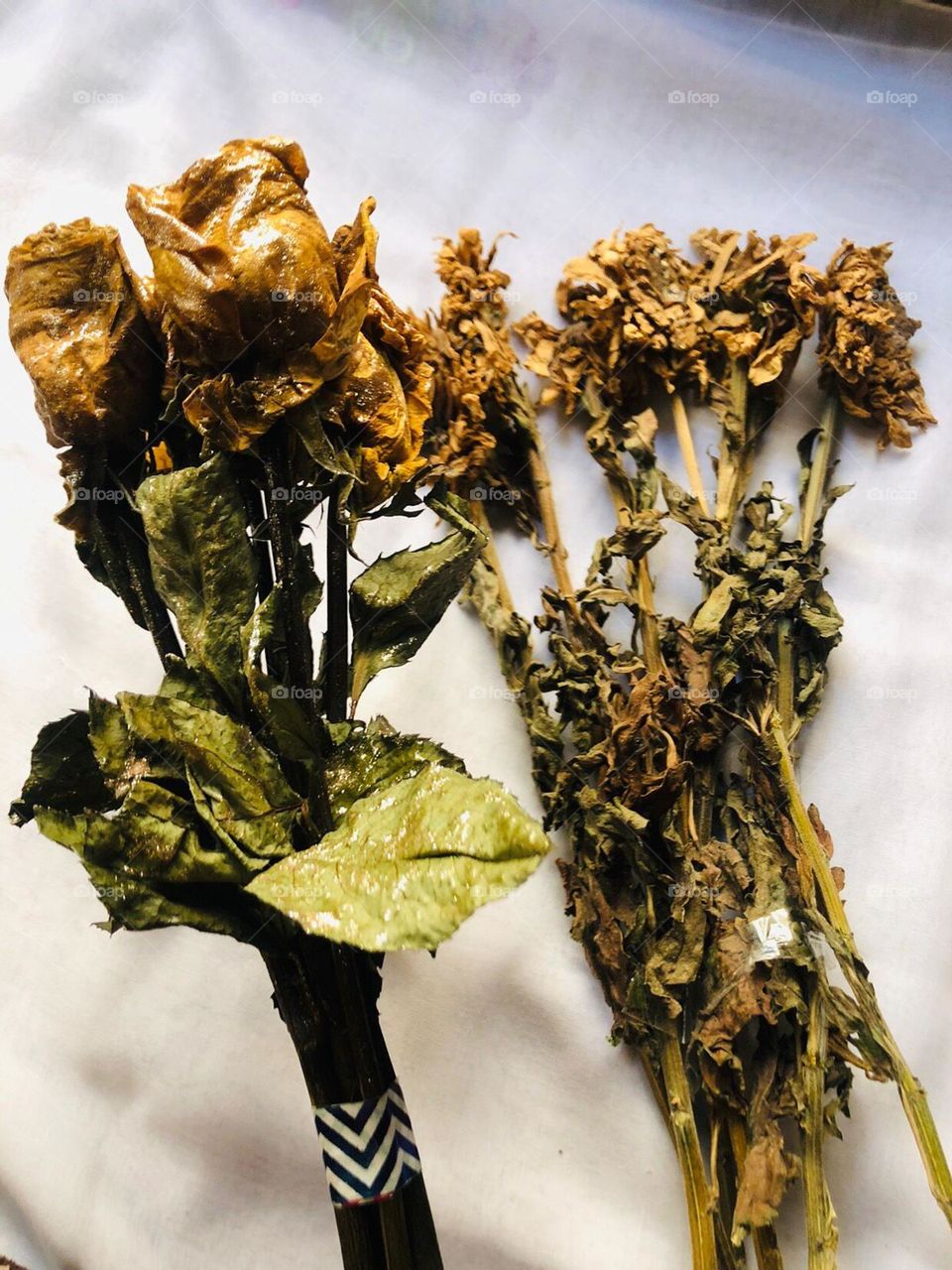 This flower is wilted, but even though the flower is withered, it has properties for various diseases