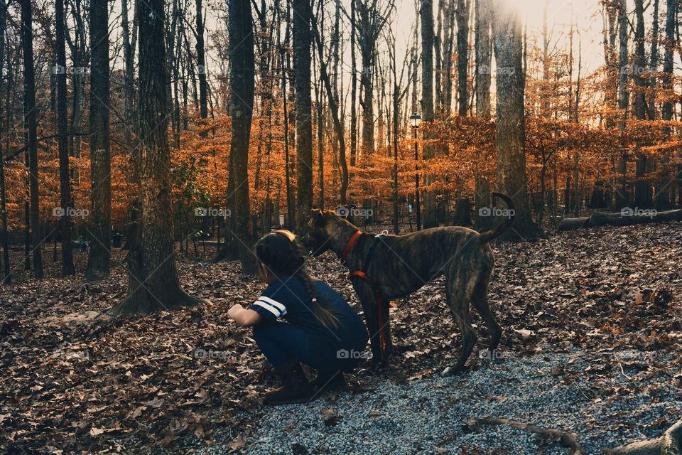 Tree, Wood, People, Outdoors, Winter