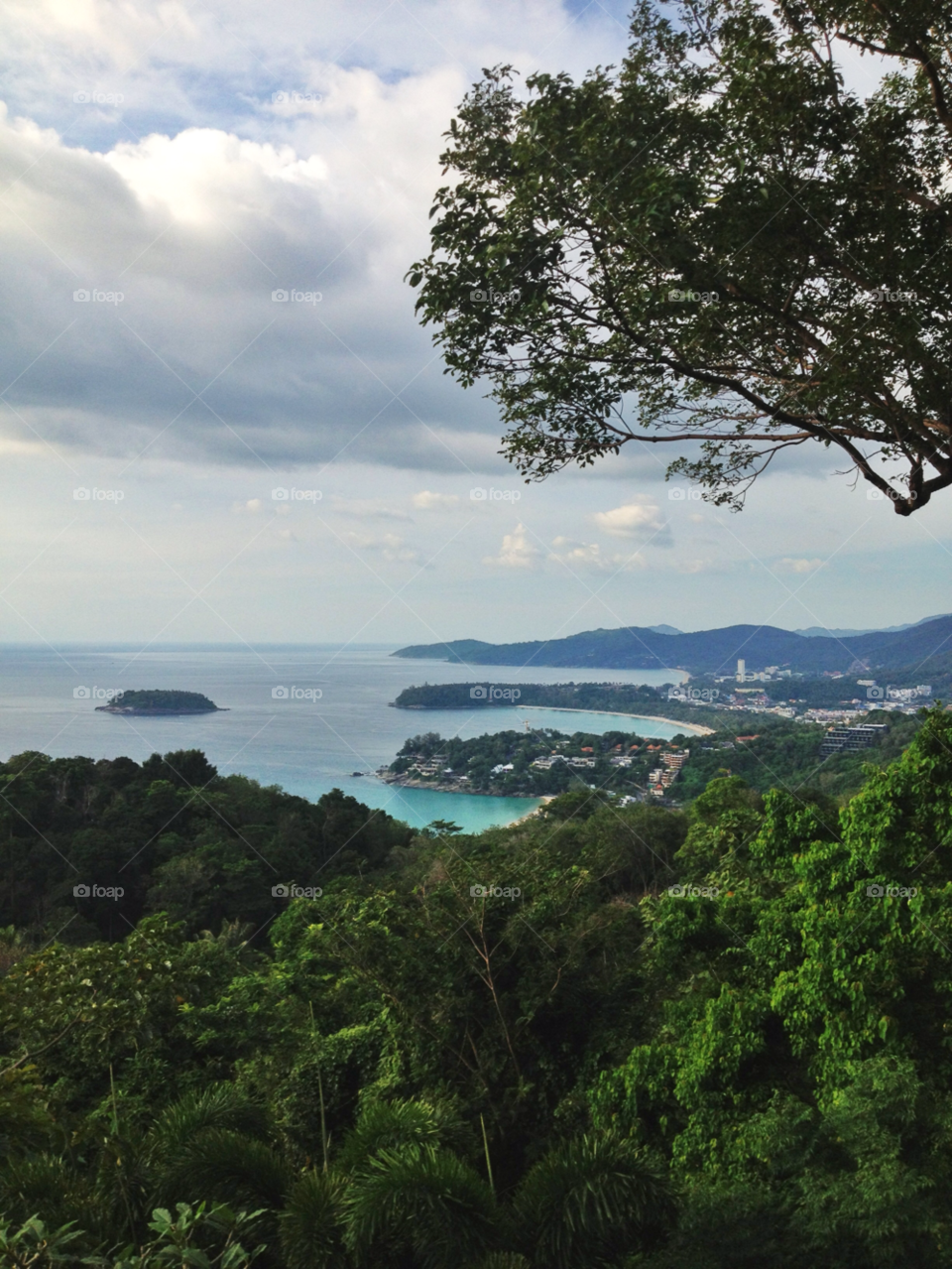 beach trees sea phuket by twilite