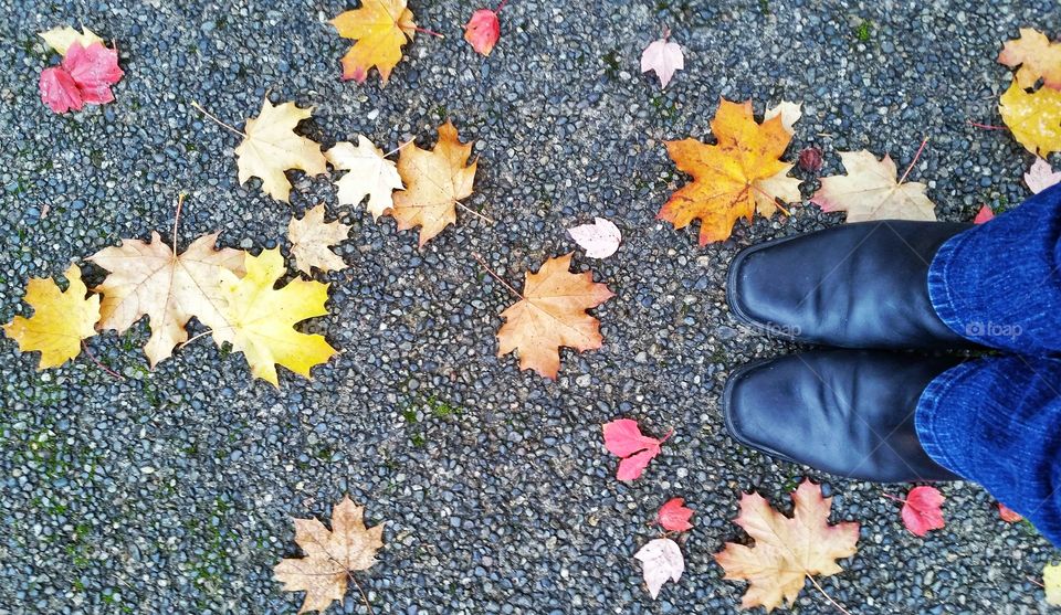 Colorful falling leaves in front of black leather boots.