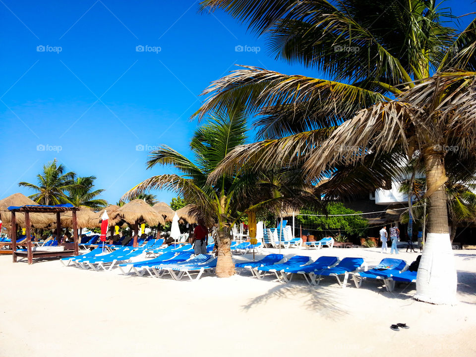 Pez Quadro beach club