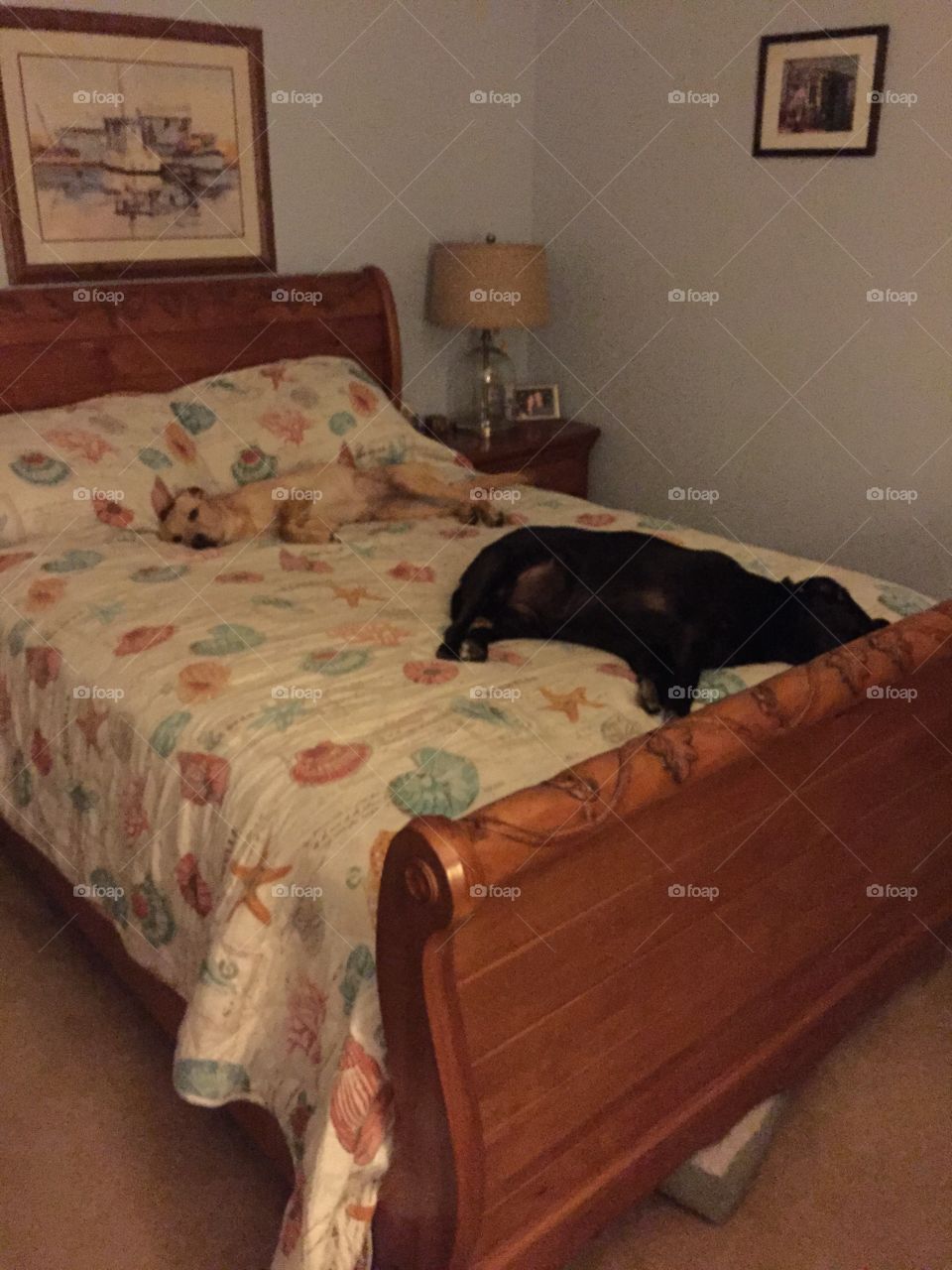 Comfortable sleeping on the bed