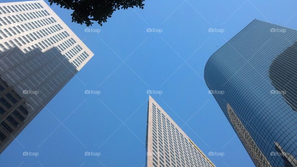 skyscrapers