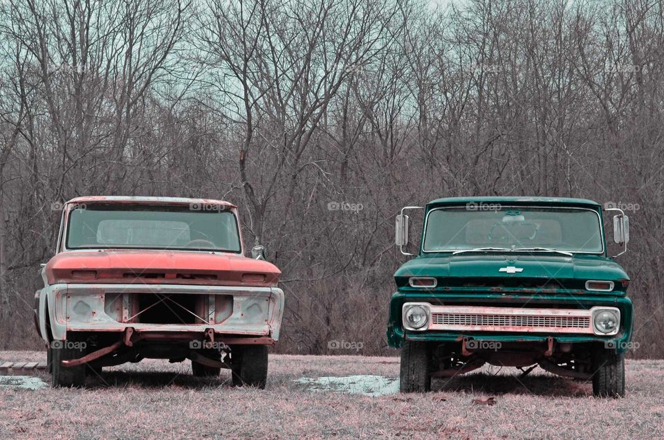 Take the Nostalgic Way Home (Series)